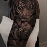 tiger